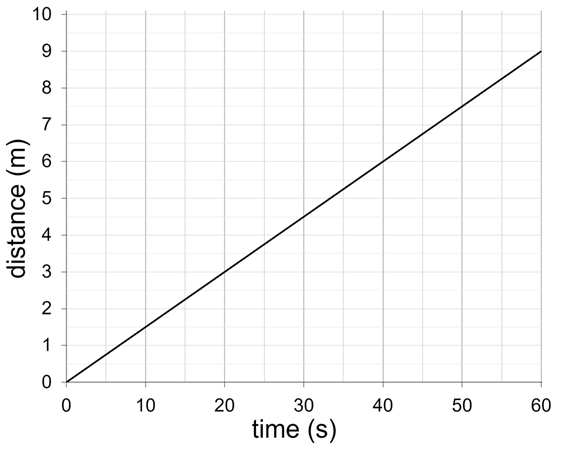 An image in a quiz