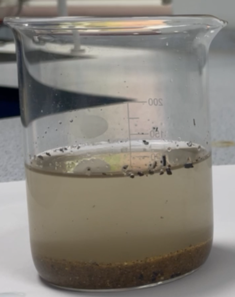 What do we call a solid that does not dissolve in a liquid?
