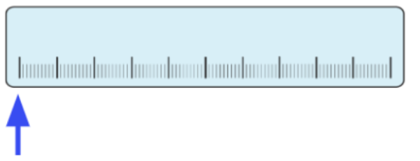 An image in a quiz