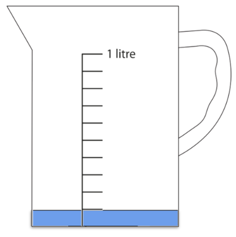 An image in a quiz