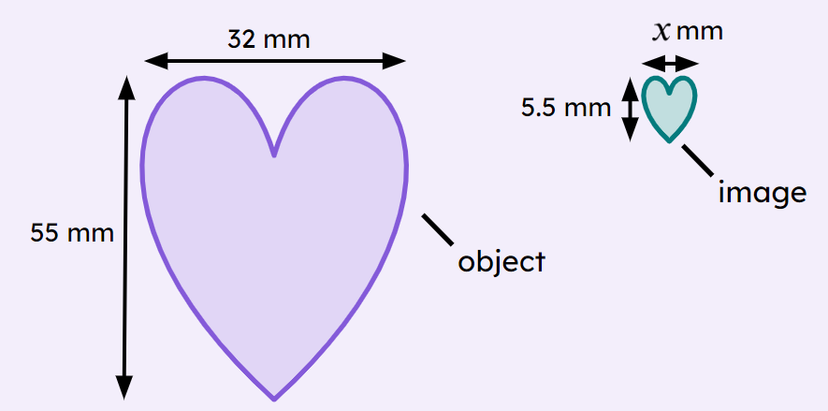 An image in a quiz