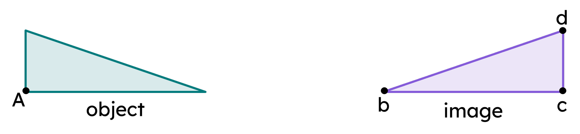 An image in a quiz