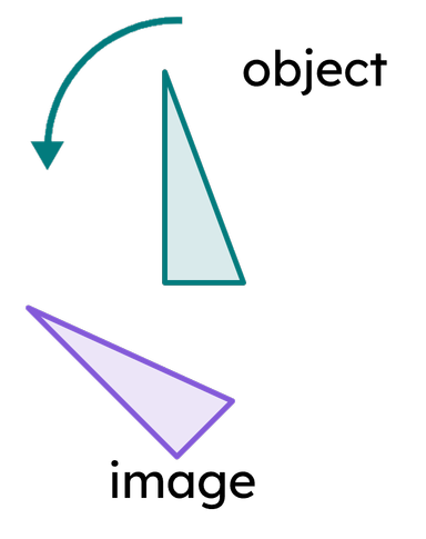 An image in a quiz