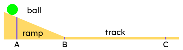 An image in a quiz