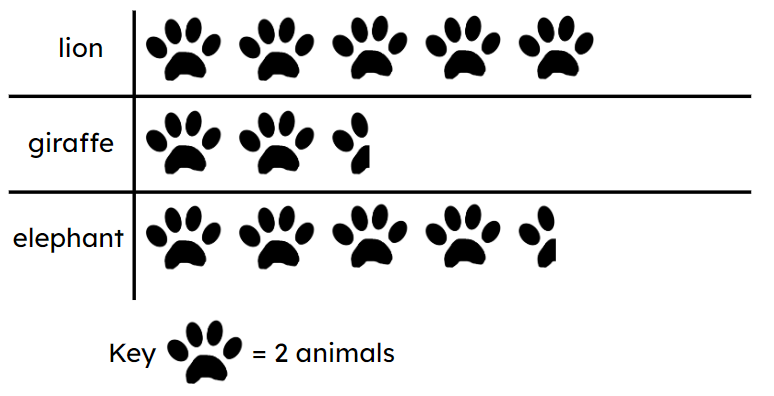An image in a quiz