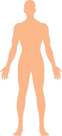 An image in a quiz