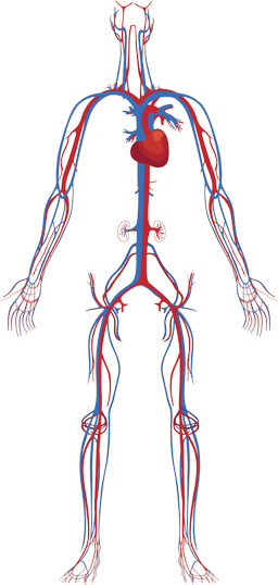 An image in a quiz