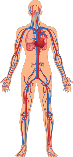 An image in a quiz