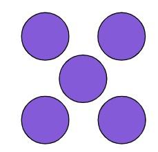 An image in a quiz
