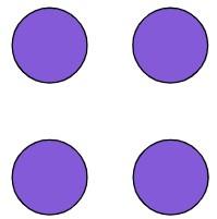 An image in a quiz