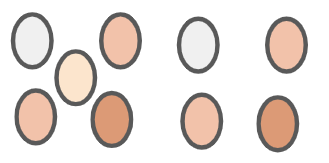 An image in a quiz