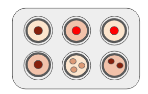 An image in a quiz