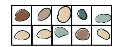 An image in a quiz