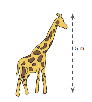 An image in a quiz