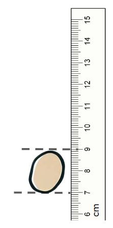 What is the height of this pebble?