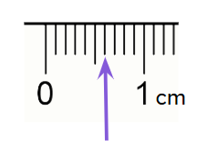 An image in a quiz
