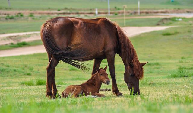 All animals grow and change from when they are born to when they become ...