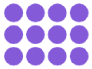 An image in a quiz