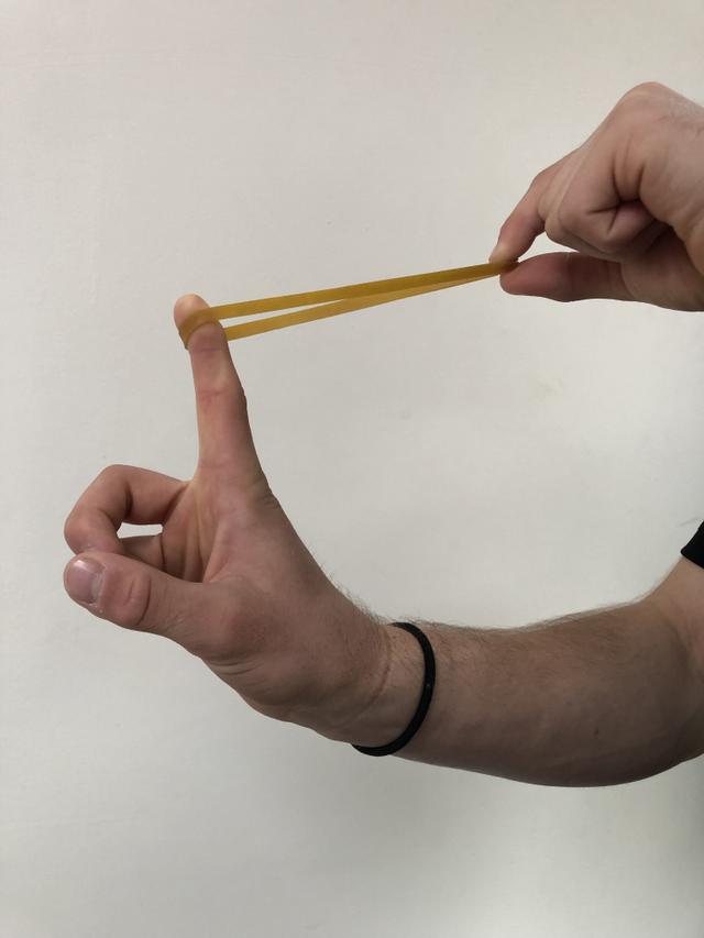 An equal force is applied to both ends of a rubber band. What happens to the rubber band?