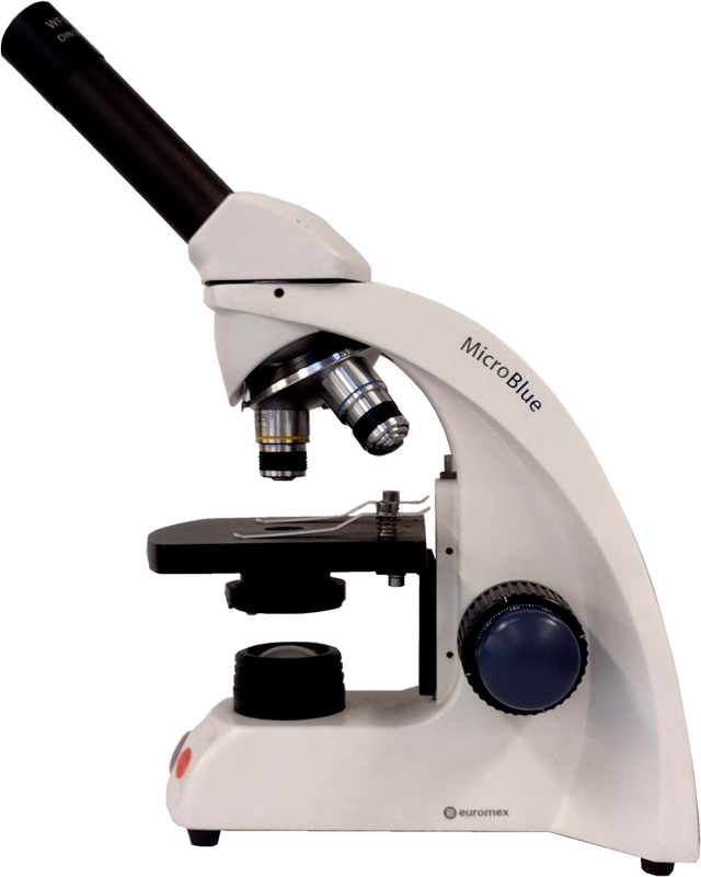 On which part of a microscope is the specimen placed in order to view it?