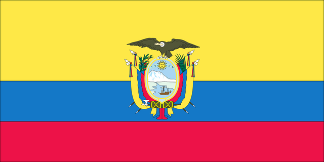 Flag 2