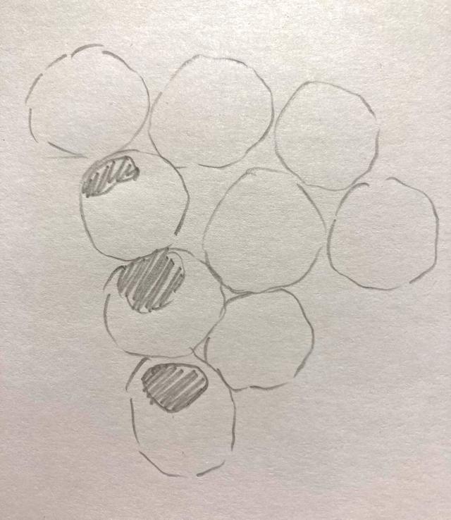 Which features should be altered in this scientific line drawing to improve it?