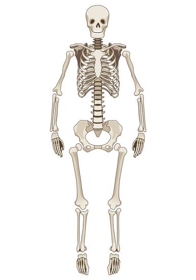 An image in a quiz