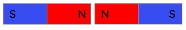 An image in a quiz