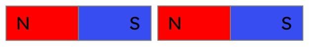 An image in a quiz