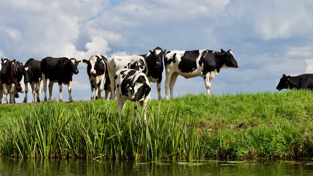 Which type of farming is this?
