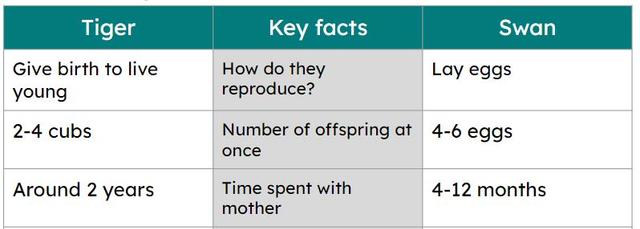 We can use scientific diagrams and tables to compare similarities and <span class="blank">______</span> between animal life cycles.