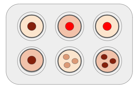 An image in a quiz