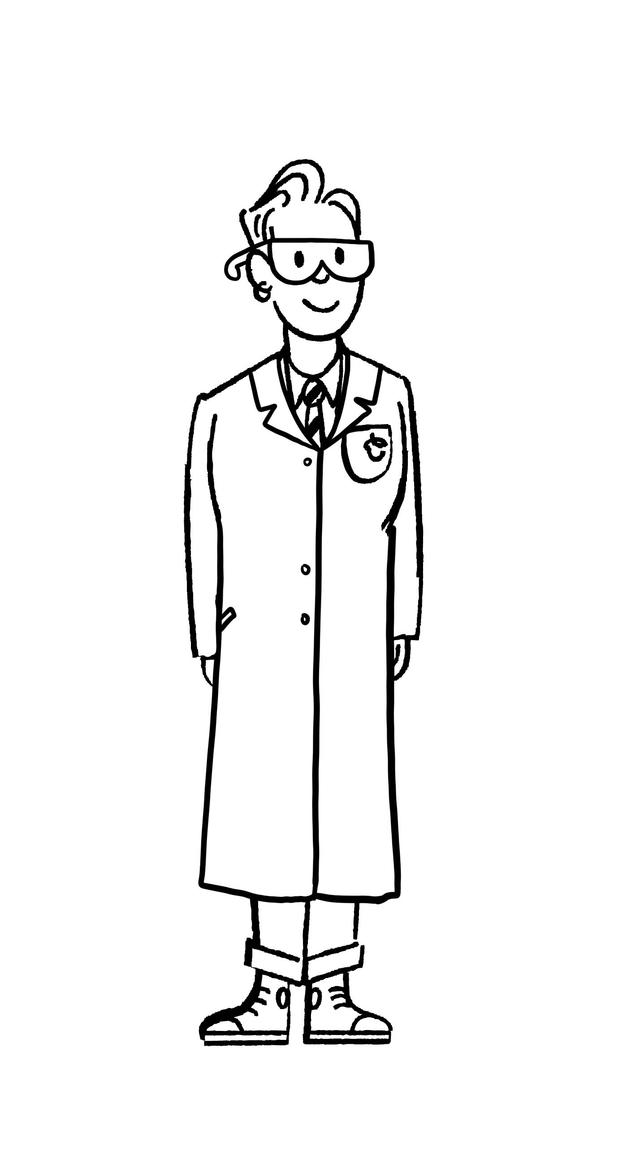 Scientists create a <span class="blank">______</span> before they carry out an investigation to help them know what to do and what equipment they will need.