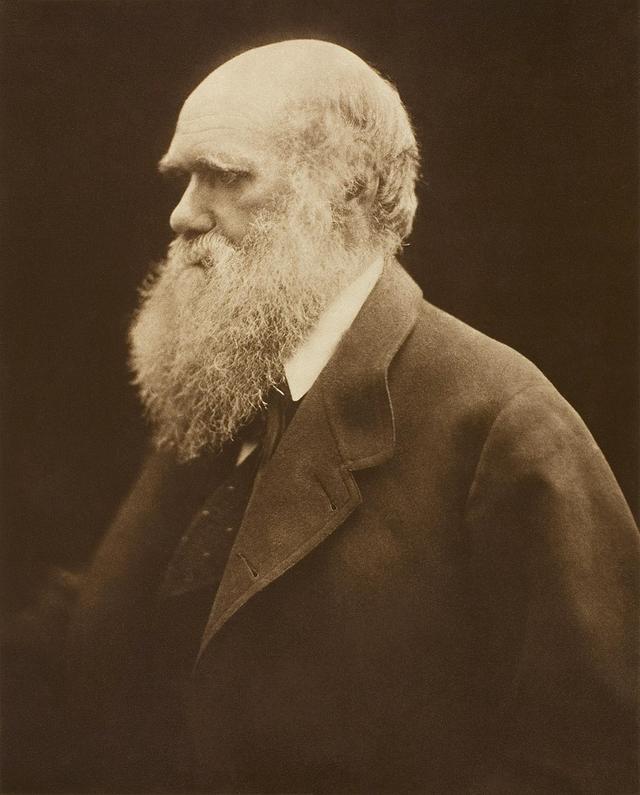 Charles <span class="blank">______</span> was a scientist born in 1809 who studied nature. His ideas about how living things adapt to suit their environments changed people’s ideas.