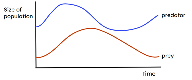 Graph C