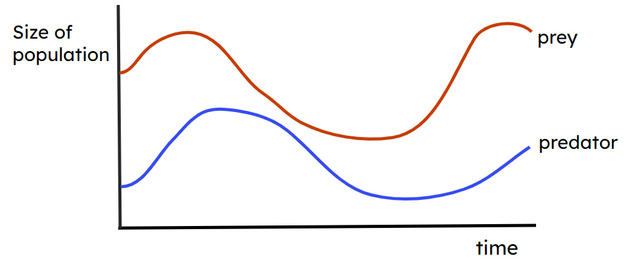 Graph B