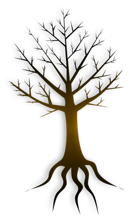 An image in a quiz