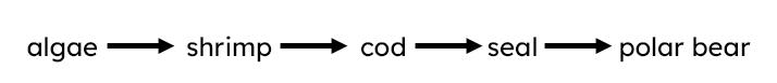 An image in a quiz