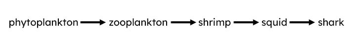 An image in a quiz