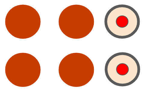 An image in a quiz