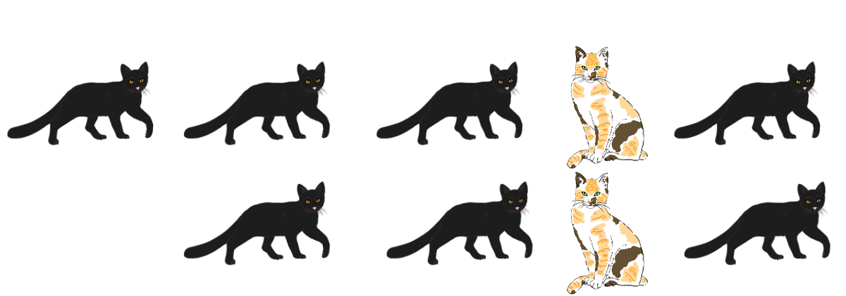 An image in a quiz