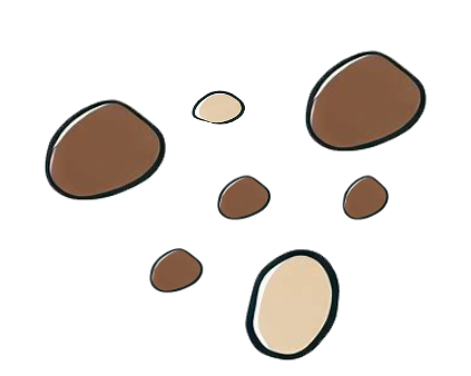 An image in a quiz