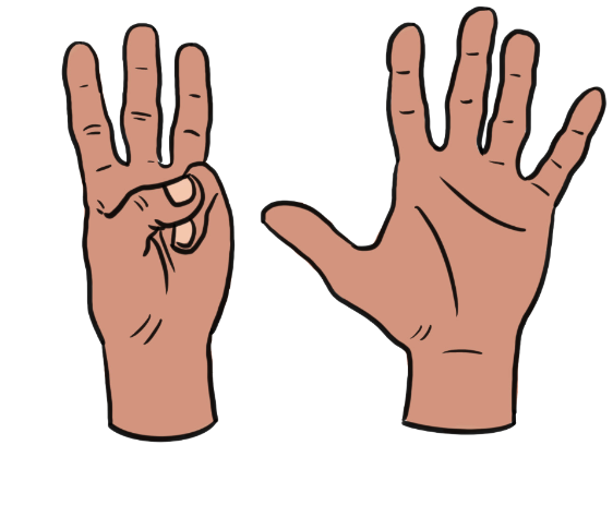 An image in a quiz