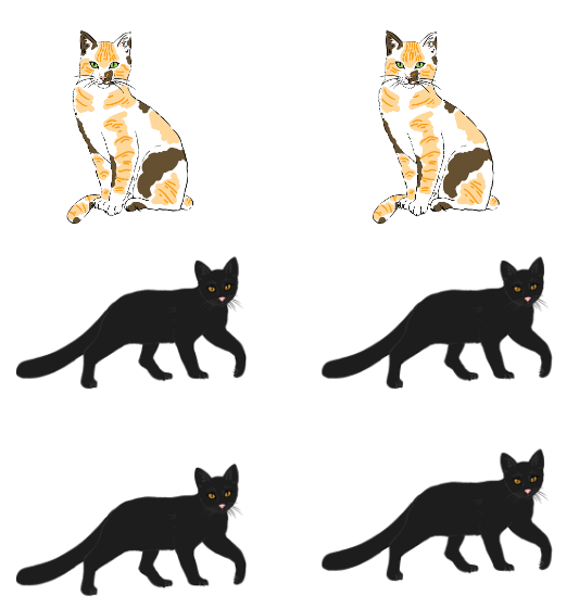 Jacob writes this to represent the picture, 2 + 4. Which part represents the black cats?