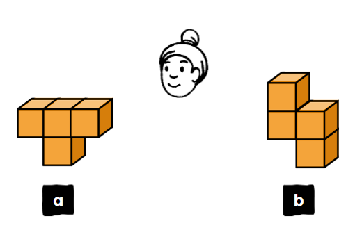 An image in a quiz
