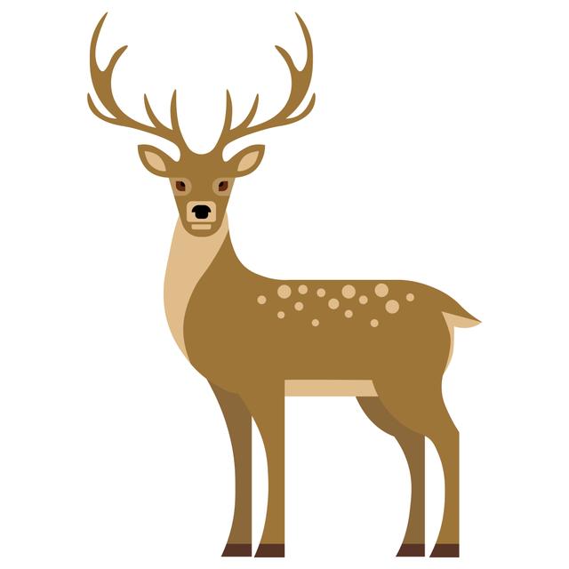 An image in a quiz