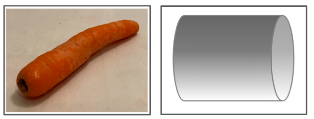 An image in a quiz