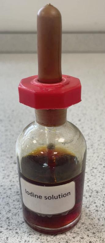 When testing a food sample for the presence of starch, how do you know when all of the starch has been broken down?