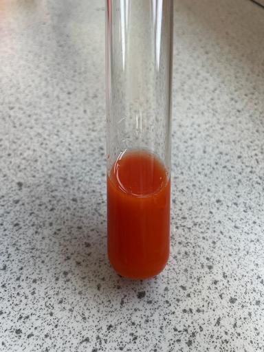 An image in a quiz