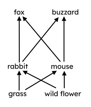 An image in a quiz